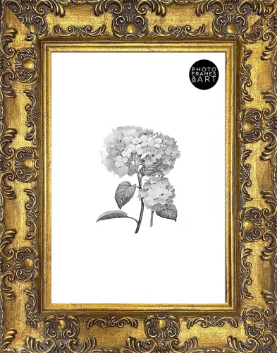 Picture frame ornate - picture,
