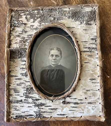 C1890 antique birch - c1890,