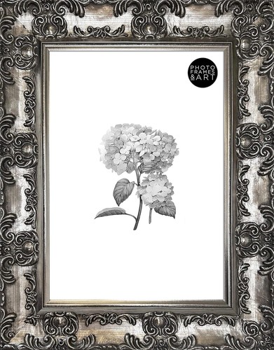 Picture frame ornate - a4,
